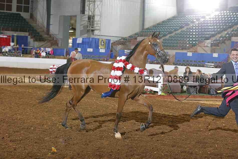 Proof 13r12_0889