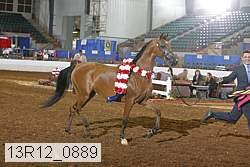 13r12_0889 proof