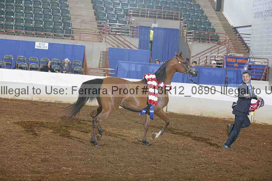 Proof 13r12_0890