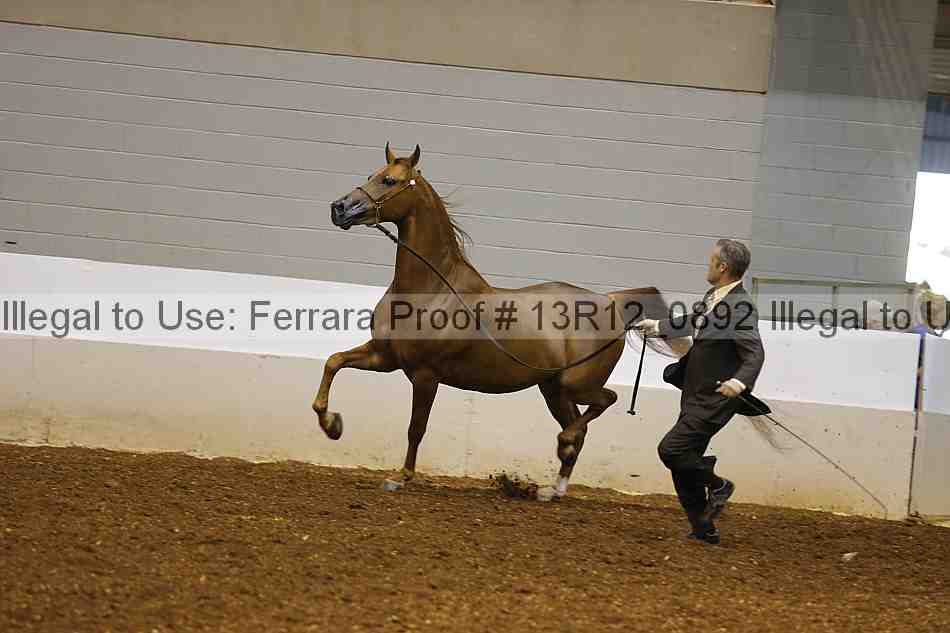 Proof 13r12_0892