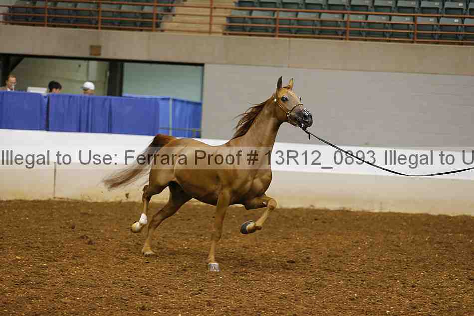 Proof 13r12_0893