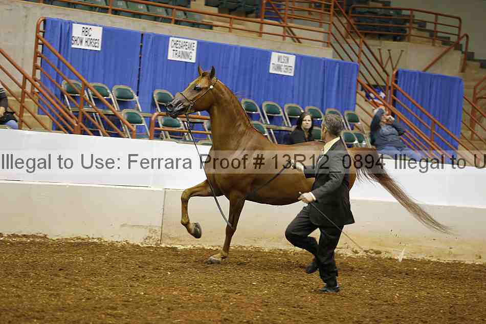 Proof 13r12_0894