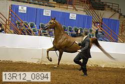 13r12_0894 proof