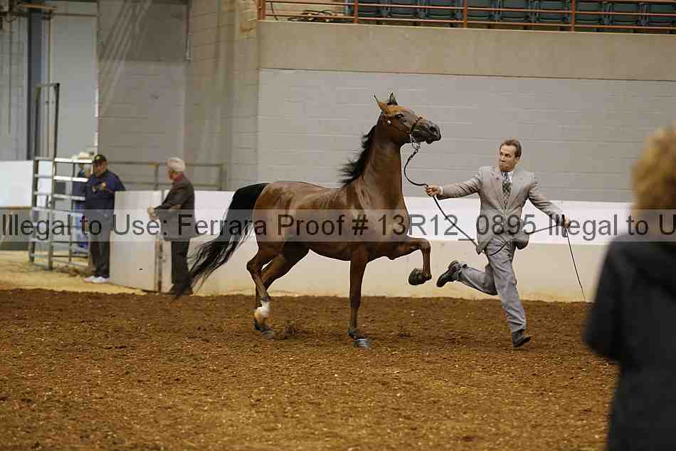 Proof 13r12_0895