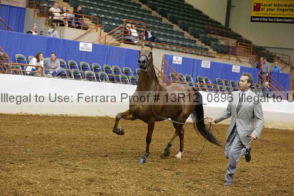 Proof 13r12_0896