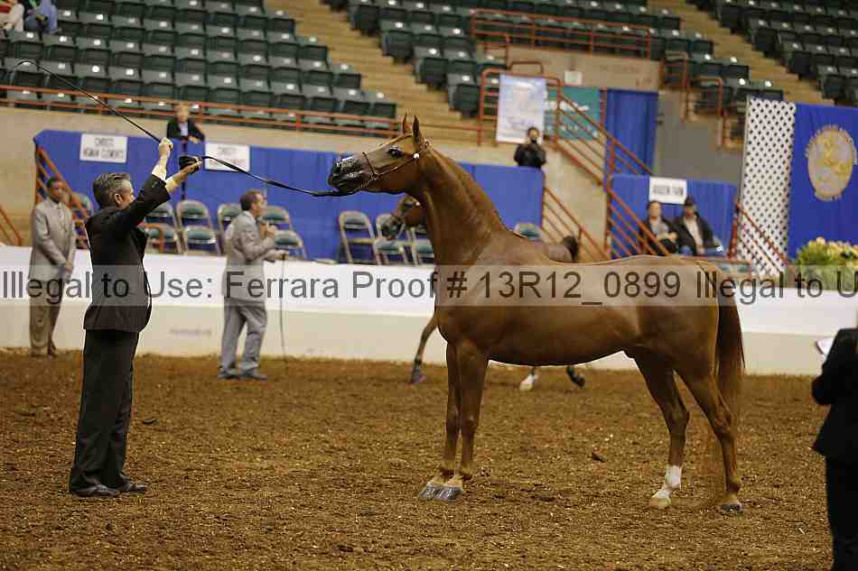 Proof 13r12_0899