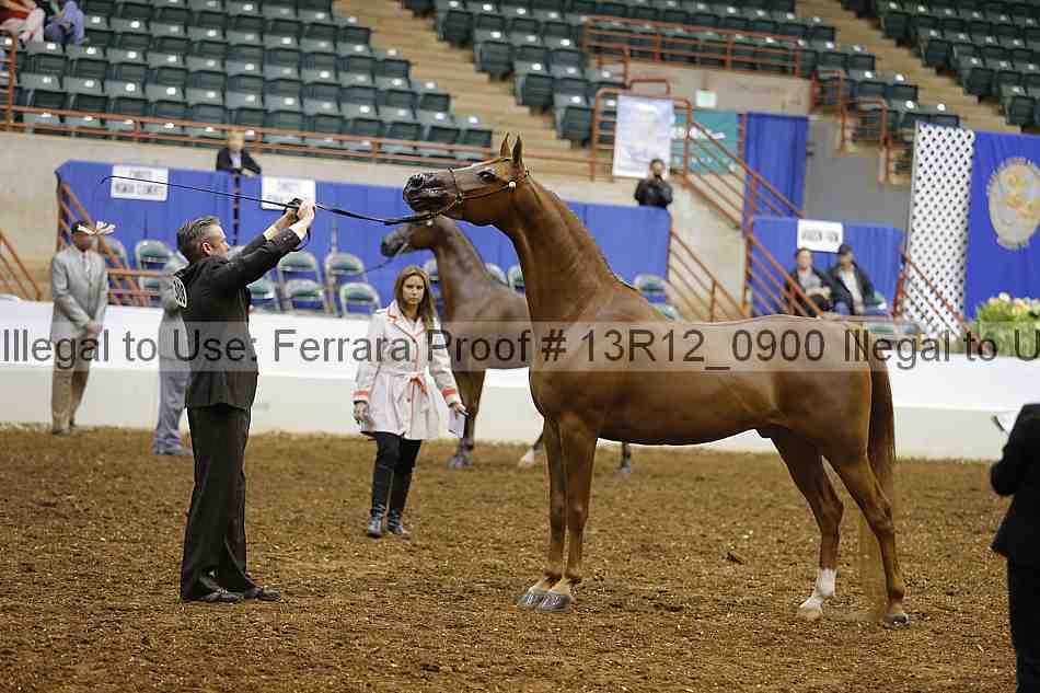 Proof 13r12_0900