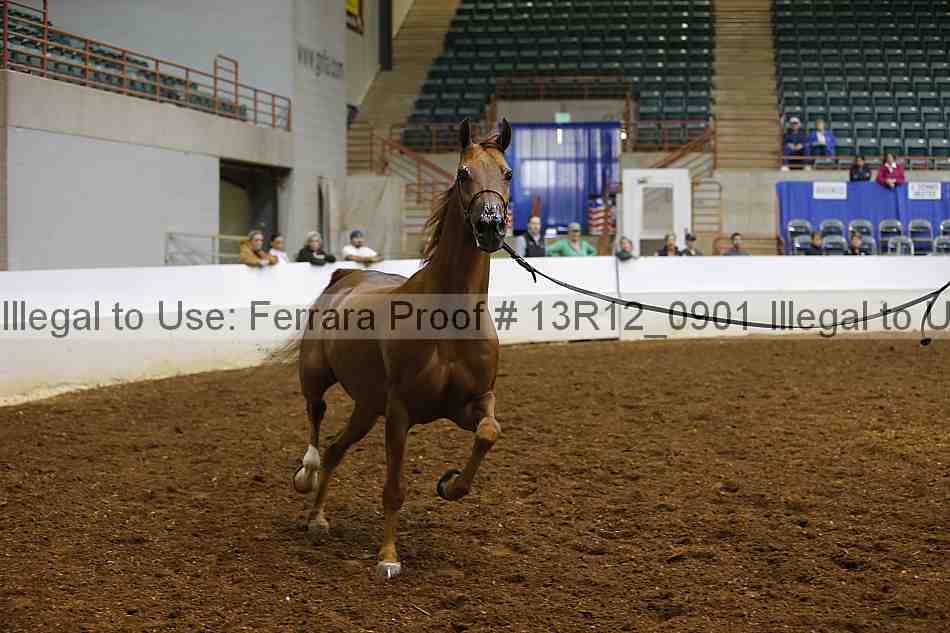 Proof 13r12_0901