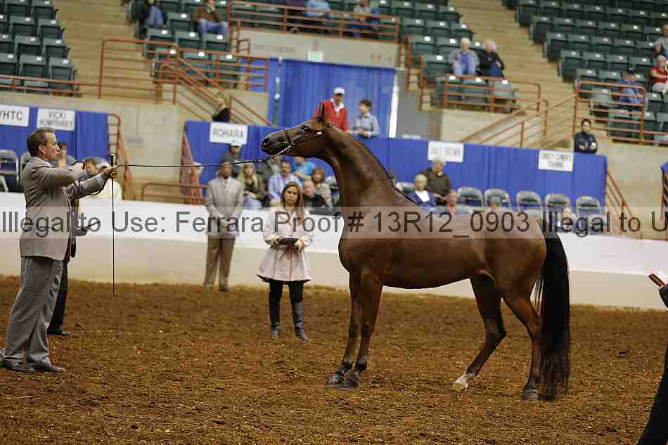 Proof 13r12_0903