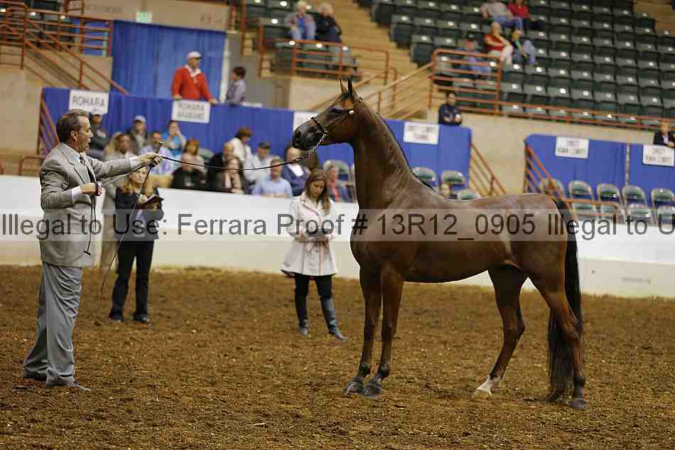Proof 13r12_0905