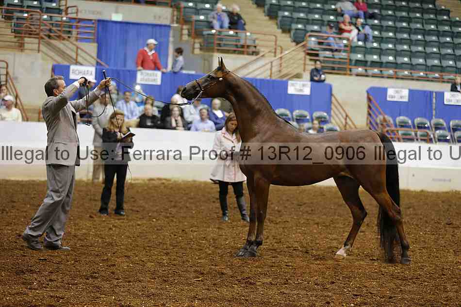 Proof 13r12_0906