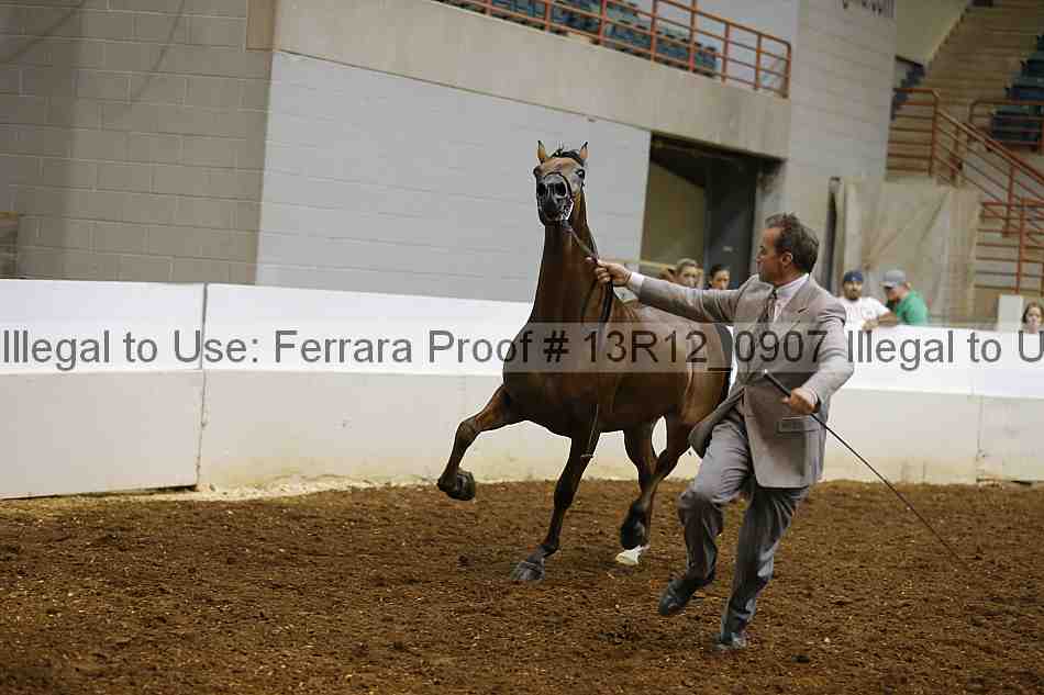 Proof 13r12_0907