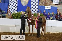 13r12_0908 proof