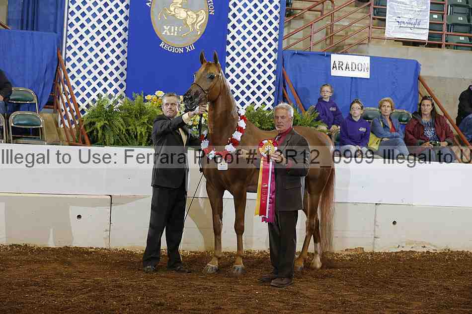 Proof 13r12_0909