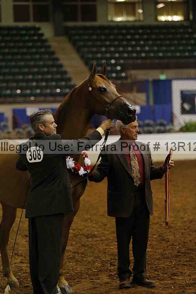 Proof 13r12_0910