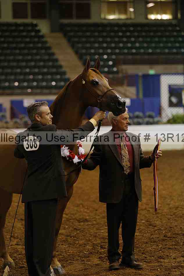 Proof 13r12_0911
