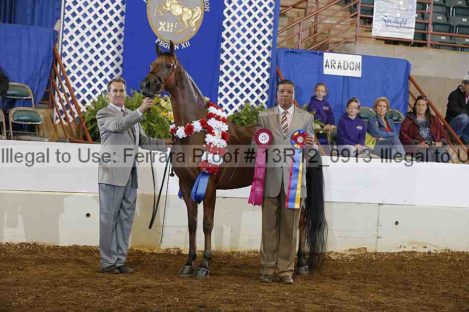 Proof 13r12_0913