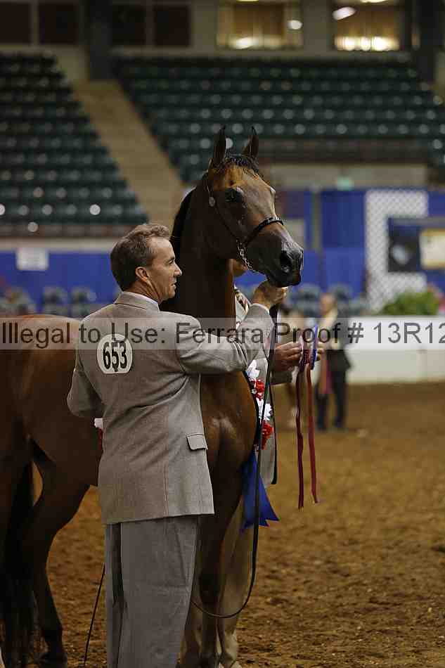 Proof 13r12_0918