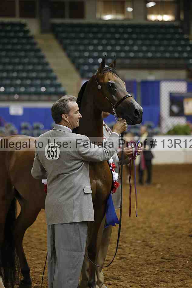 Proof 13r12_0919