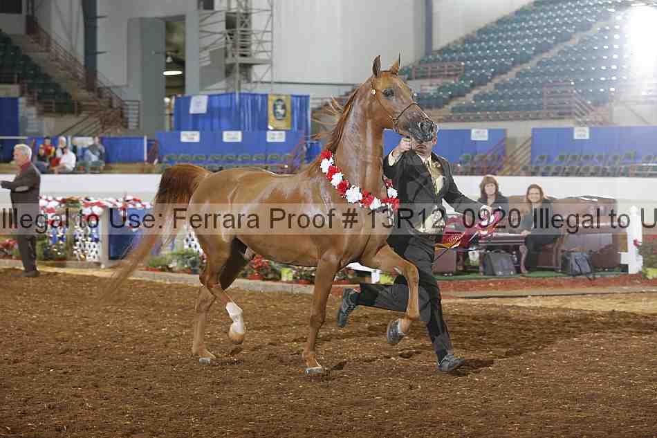 Proof 13r12_0920