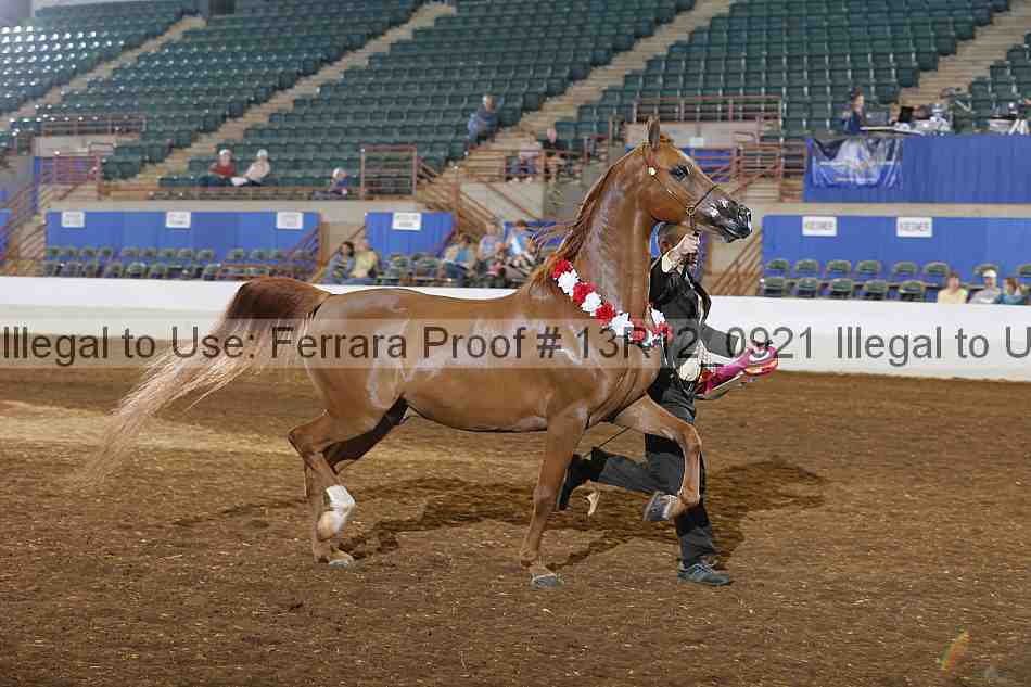 Proof 13r12_0921