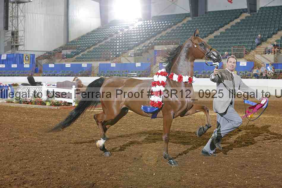 Proof 13r12_0925