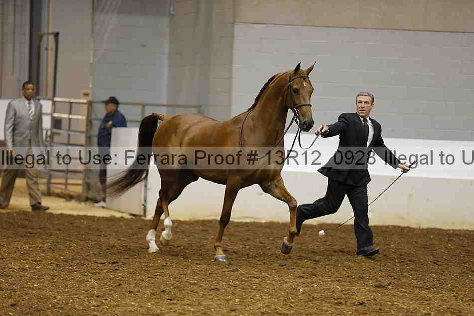 Proof 13r12_0928