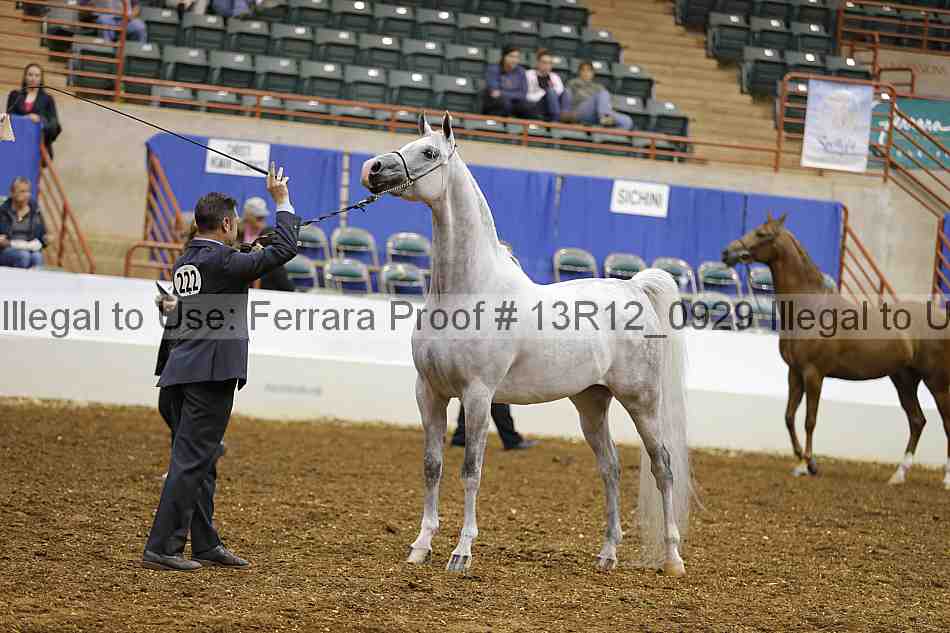 Proof 13r12_0929