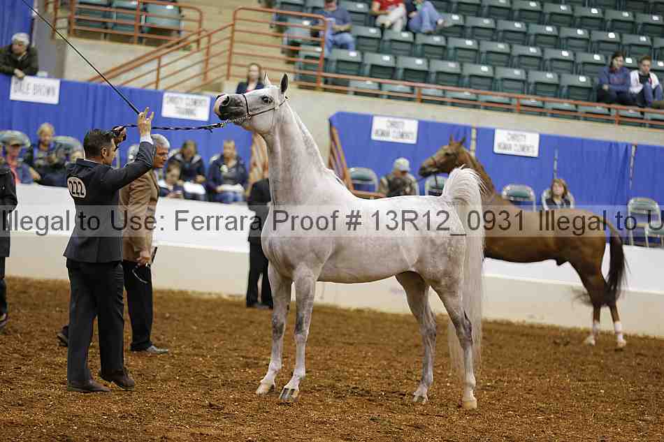 Proof 13r12_0931