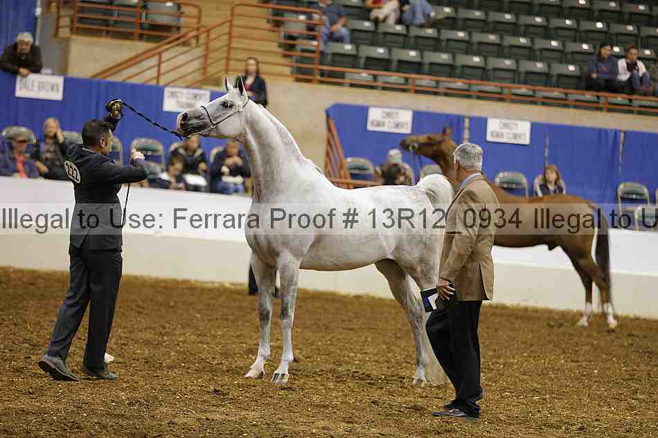 Proof 13r12_0934