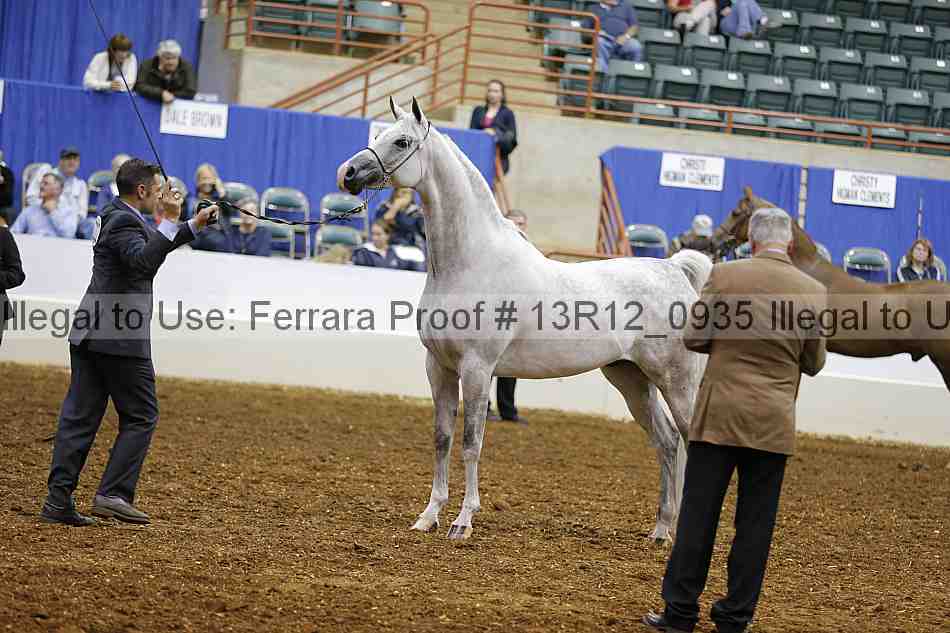 Proof 13r12_0935