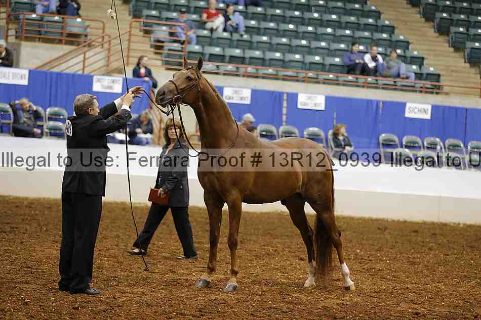 Proof 13r12_0939