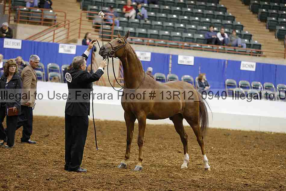 Proof 13r12_0940