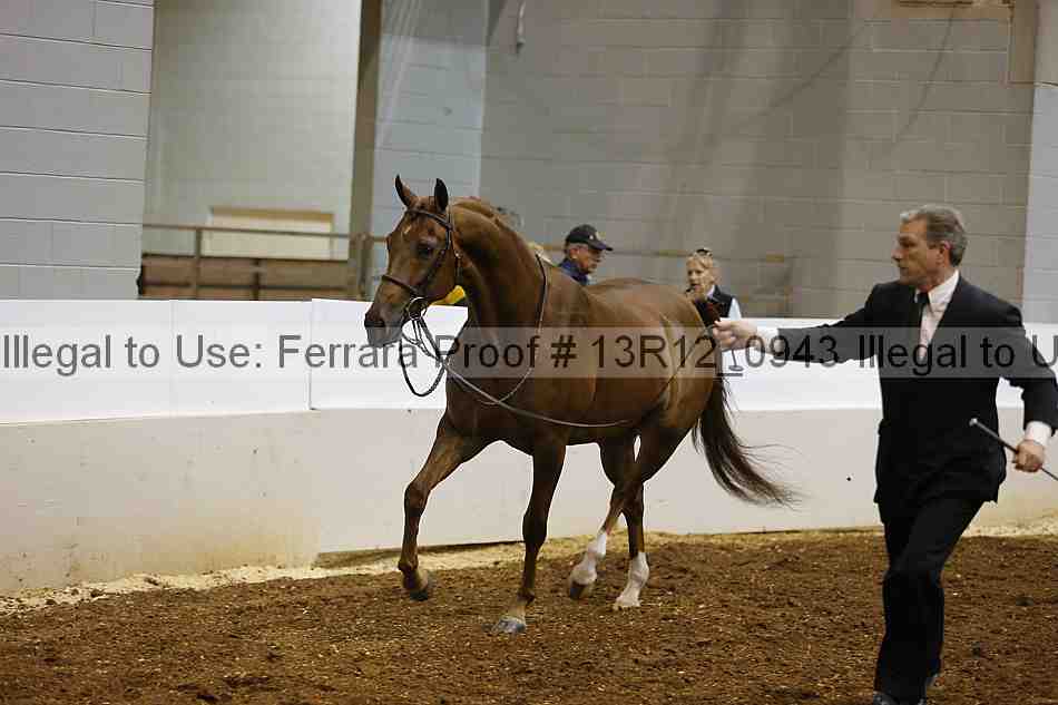 Proof 13r12_0943