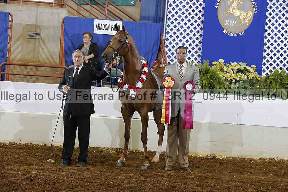 Proof 13r12_0944