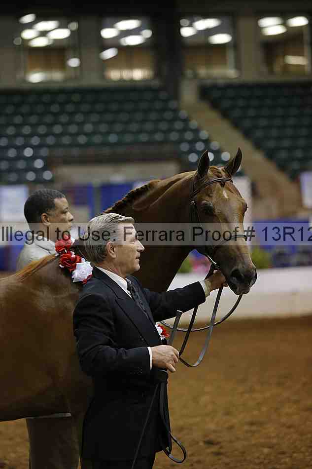 Proof 13r12_0945