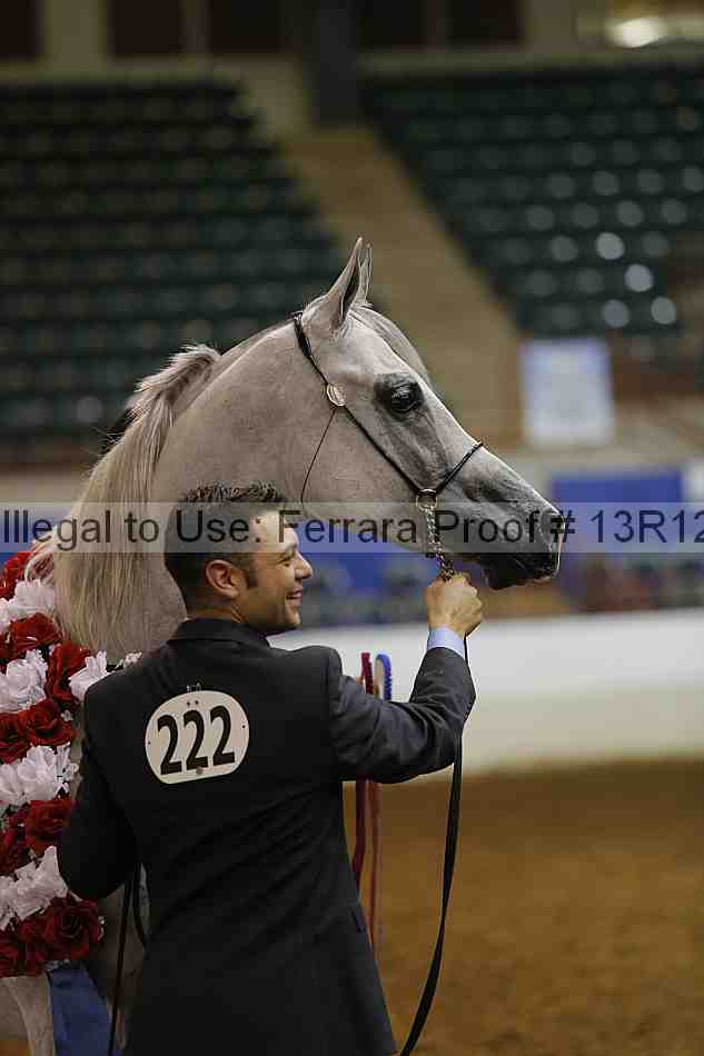 Proof 13r12_0950