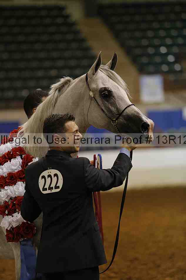 Proof 13r12_0951
