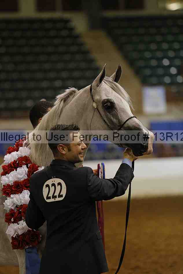Proof 13r12_0952