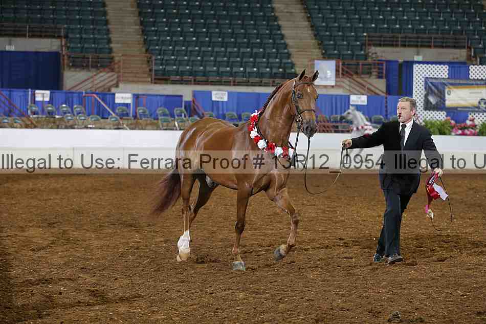 Proof 13r12_0954