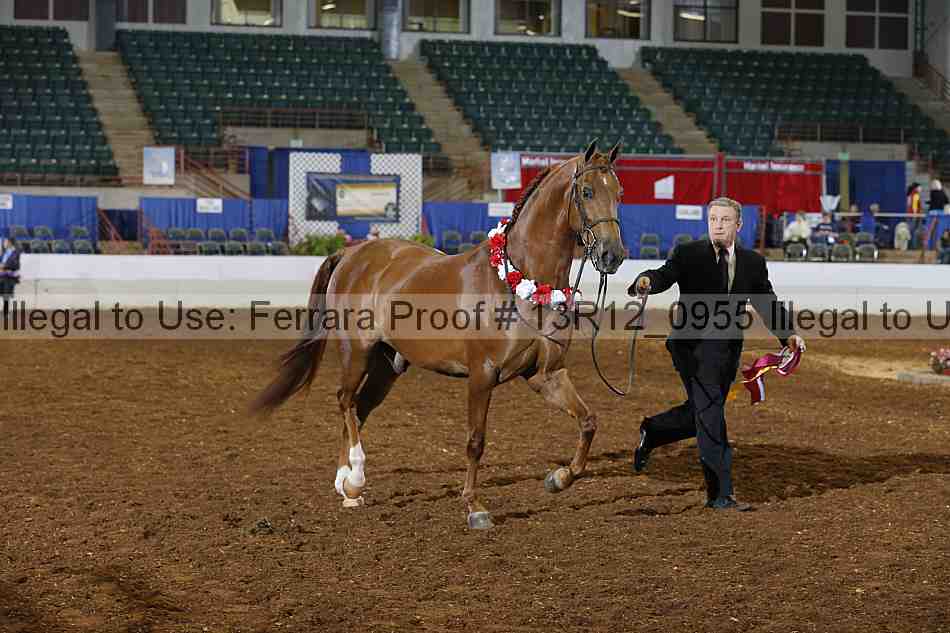 Proof 13r12_0955