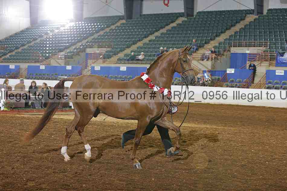 Proof 13r12_0956