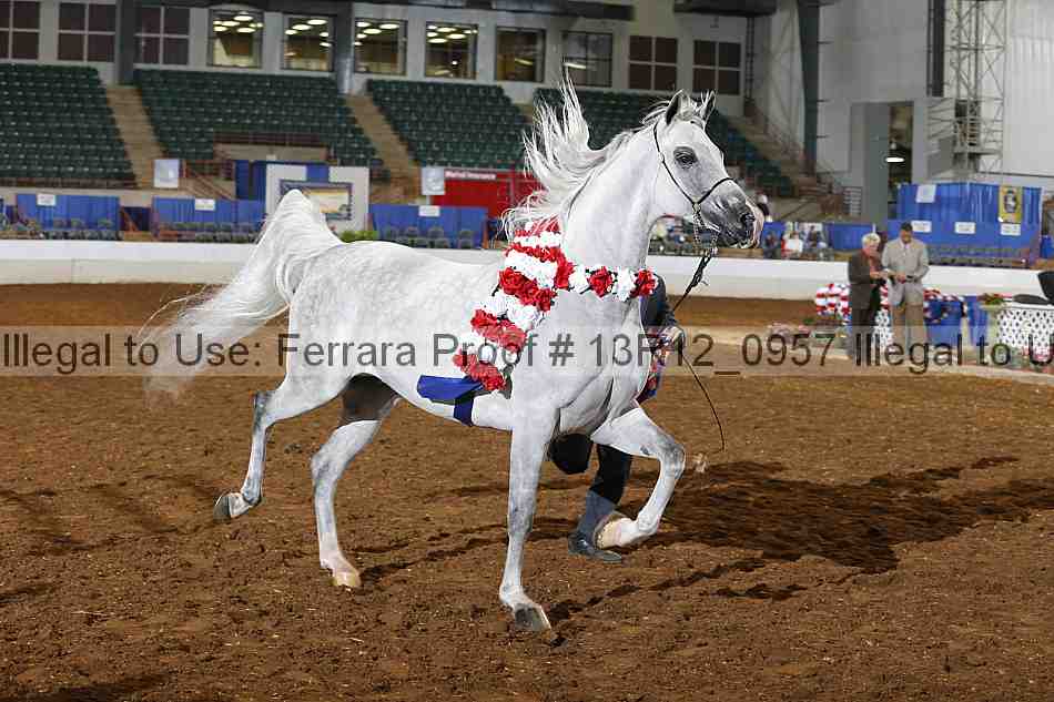 Proof 13r12_0957
