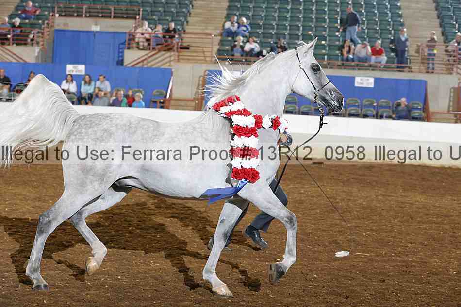 Proof 13r12_0958