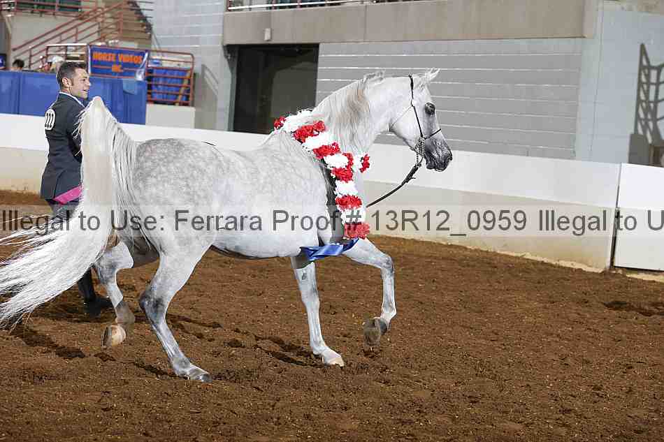 Proof 13r12_0959