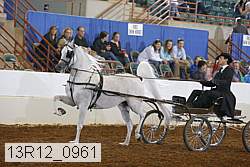 13r12_0961 proof