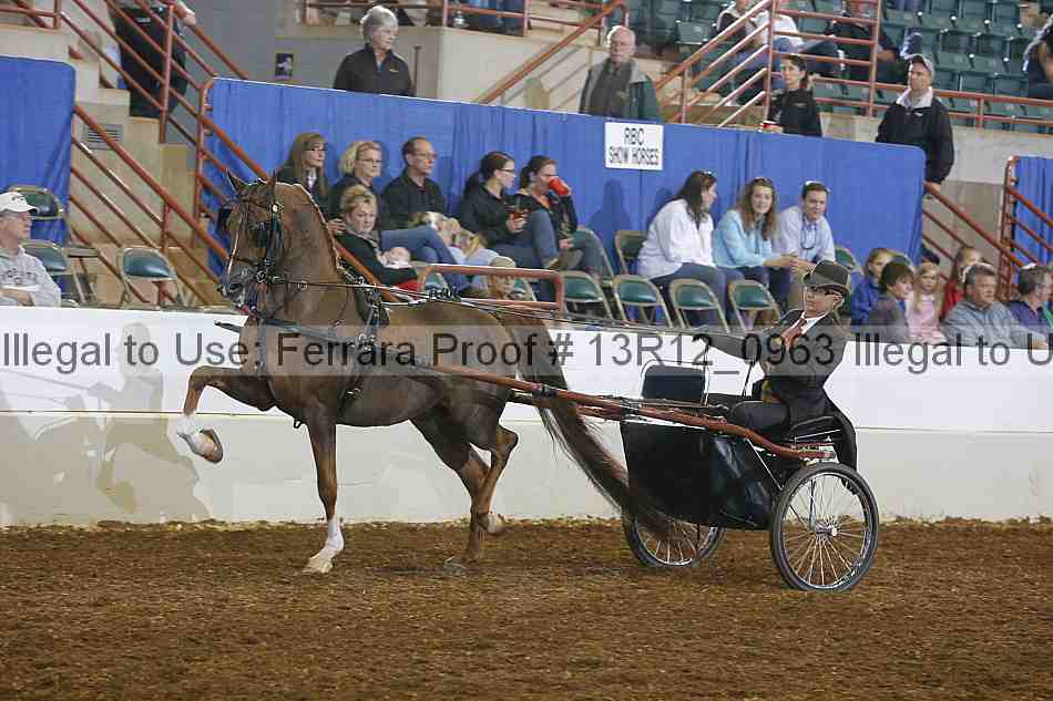 Proof 13r12_0963