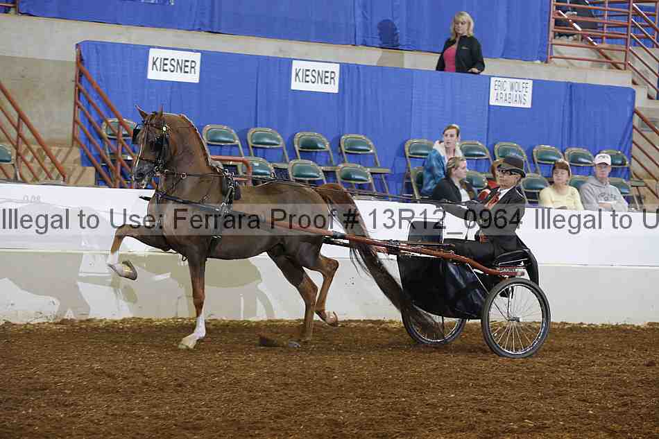 Proof 13r12_0964