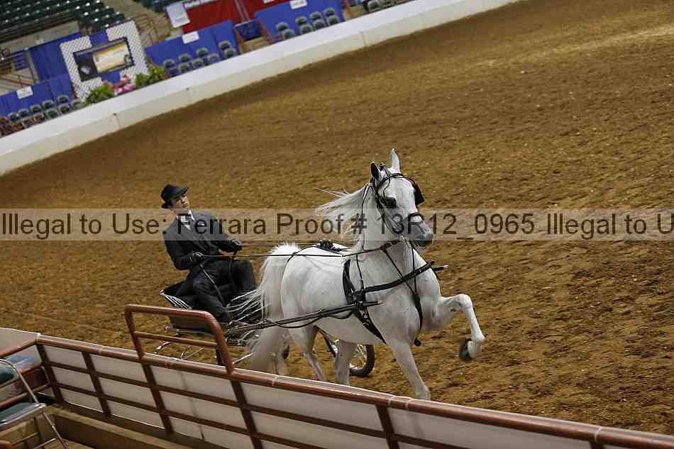 Proof 13r12_0965