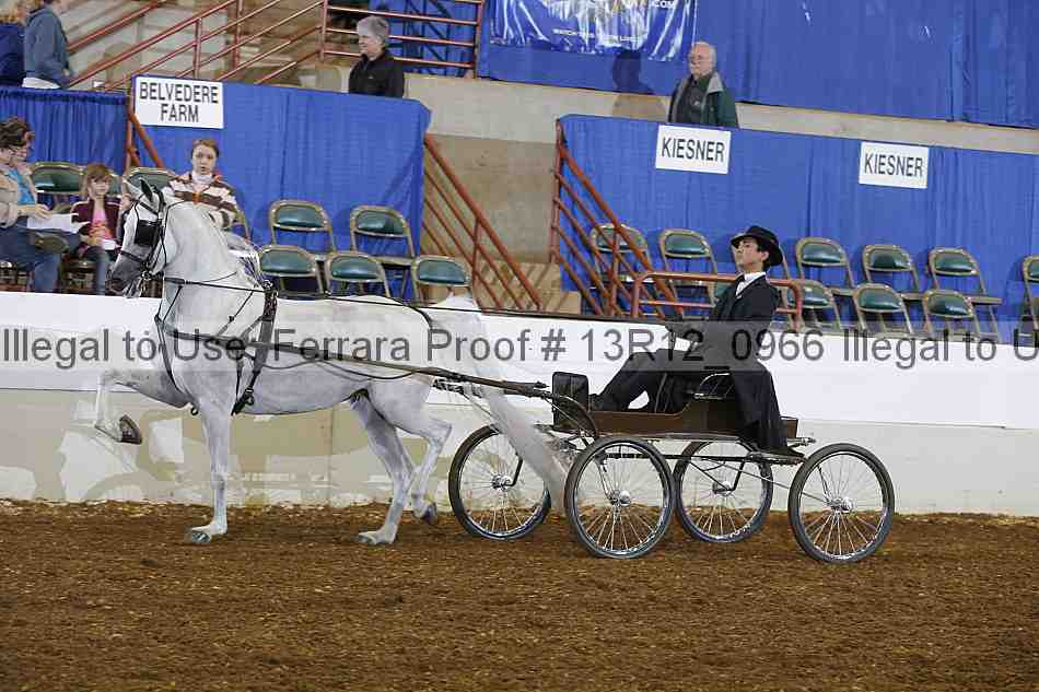 Proof 13r12_0966